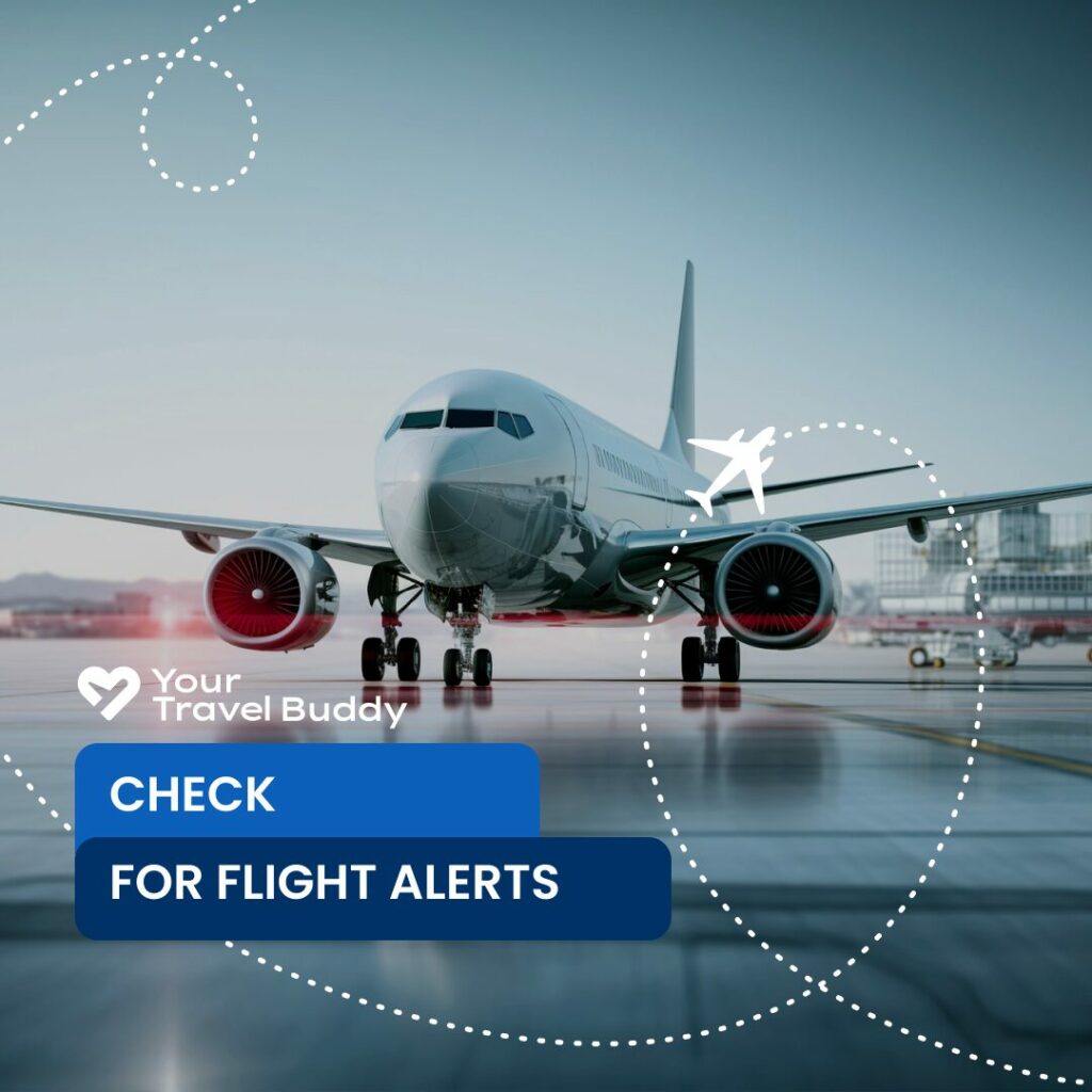 Essential Travel Tip: Stay Ahead with Flight Alerts Thumbnail